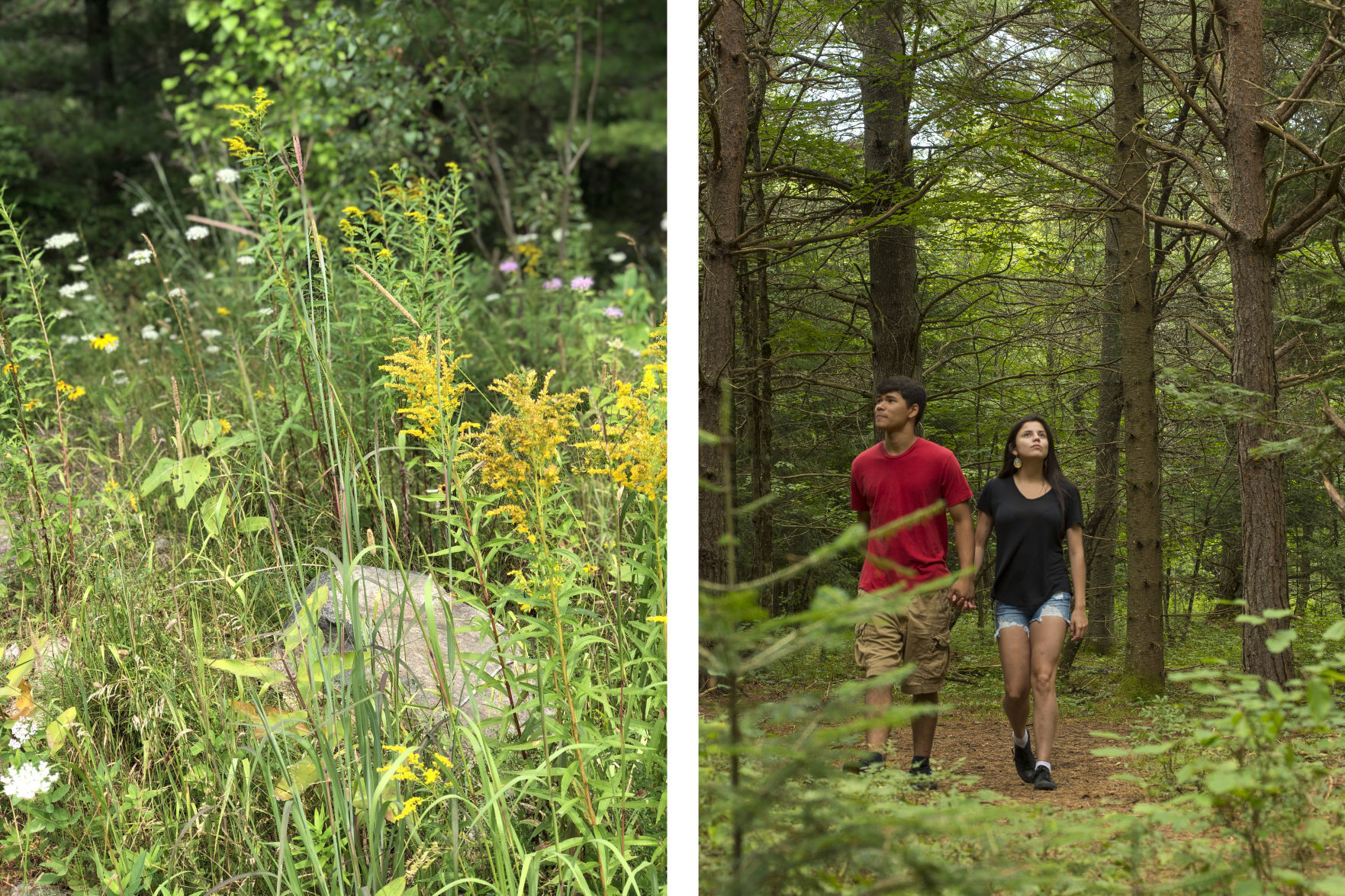 adirondack immersion_hiking vertical_buffalomagazine
